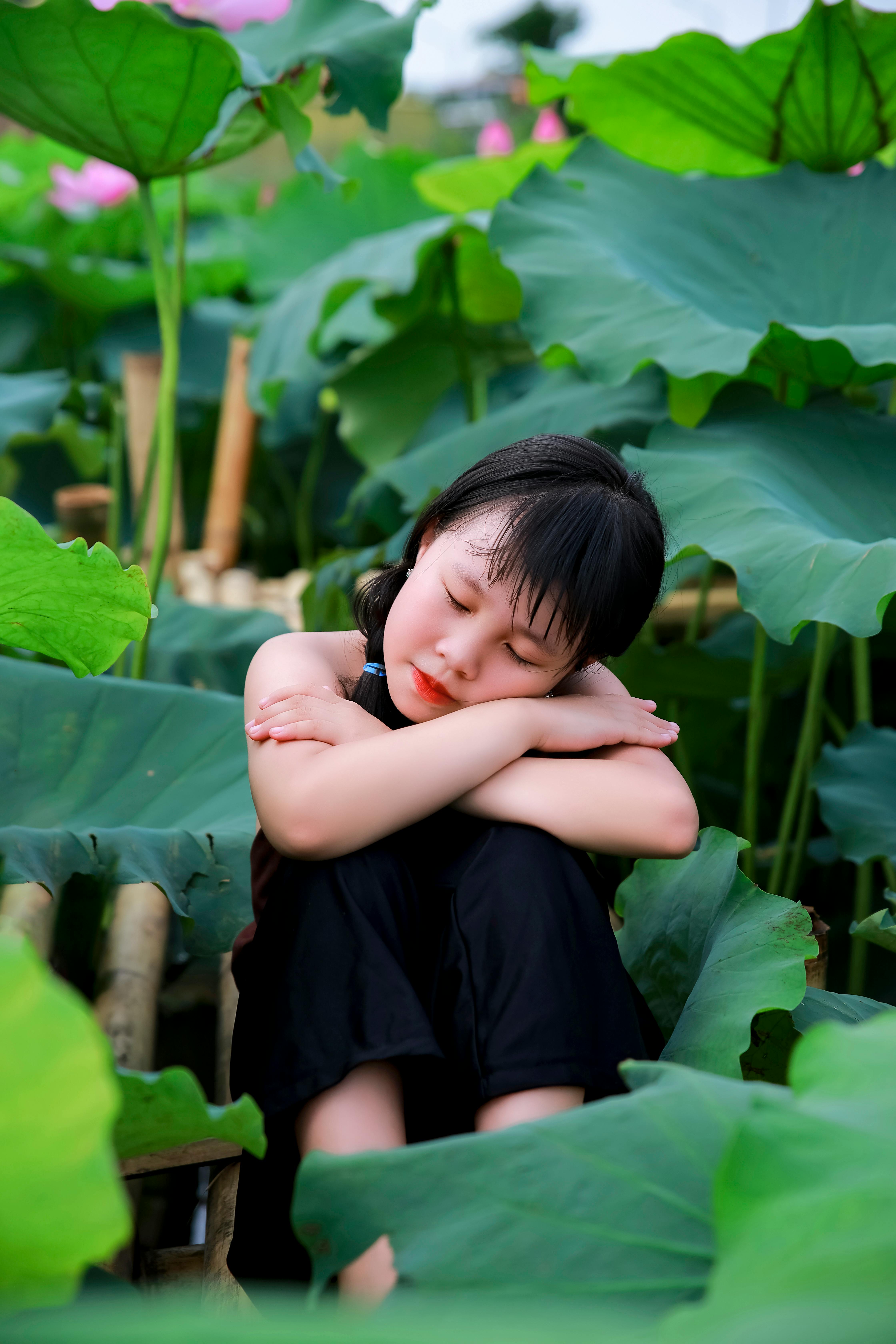 推荐条目图片：Nguyen Hung